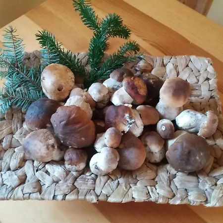 V Luxusním Karavanu
